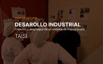 Protegido: Desarrollo industrial: creación y despliegue de un sistema de mejora propio