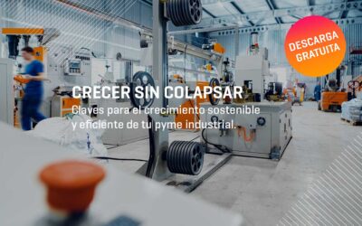 Ebook gratuito | Crecer sin colapsar