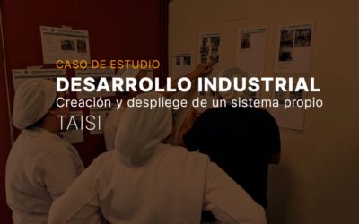 Desarrollo industrial: creación y despliegue de un sistema de mejora propio