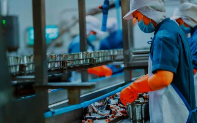 Cómo implantar un sistema de gestión y reducción de mermas