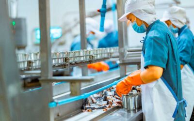 Reducir el desperdicio en la industria agroalimentaria